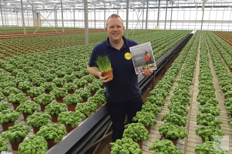 Elke week een Jeelink box met lokale producten