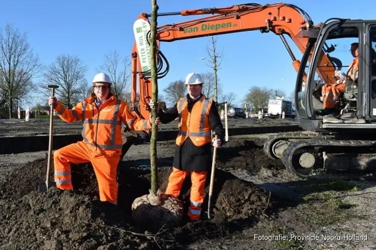 Eerste nieuwe bomen langs A.C. de Graafweg geplant