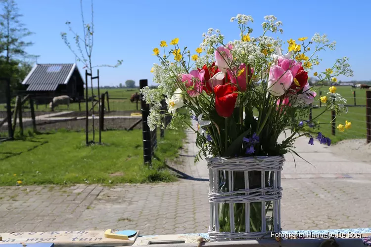 Plantjes en stekkiesmarkt Rundveemuseum Aartswoud