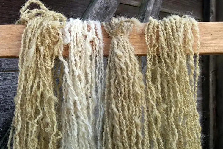 100 % Wol: alles over wol in het Rundveemuseum op 16 juli
