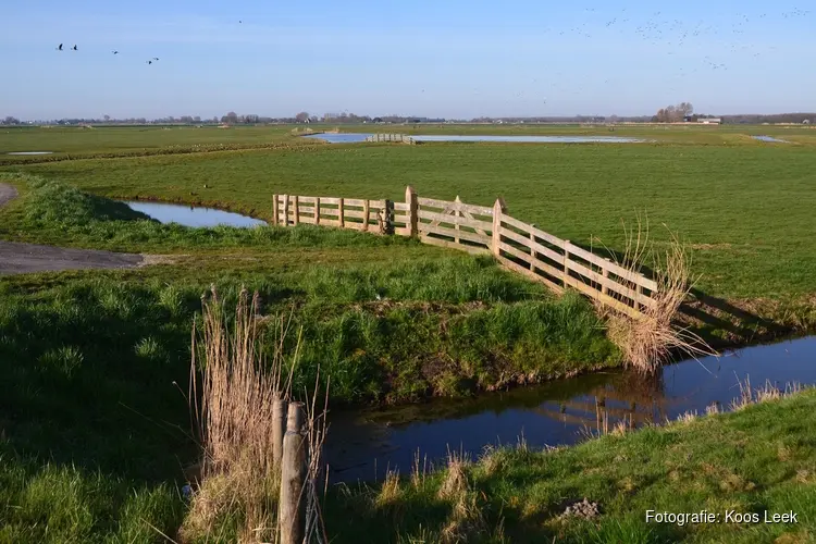 Wandeling naar Weelpolder en bezoek aan Rundveemuseum in Aartswoud