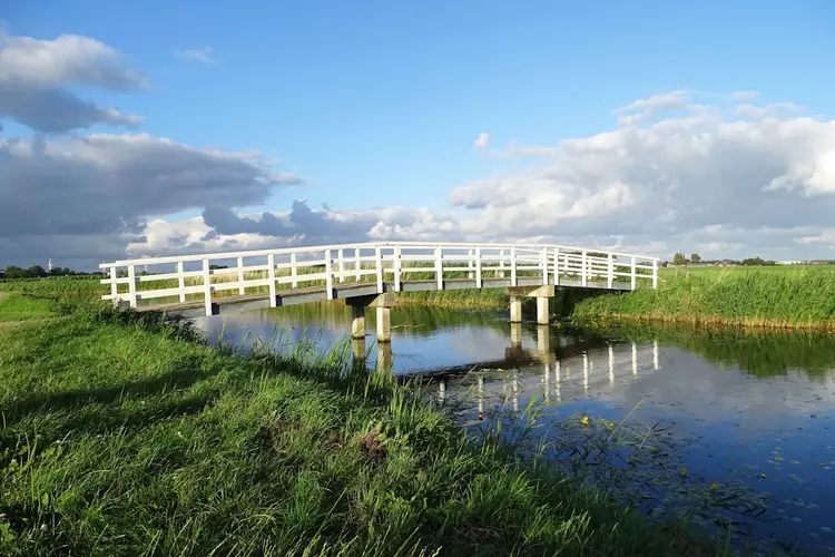 Excursie Braakpolder met natuurgids vanuit Rundveemuseum