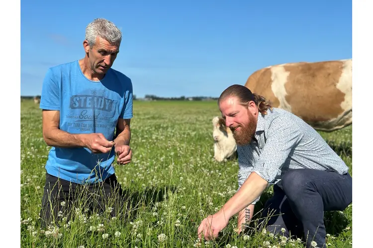 Gemeente Opmeer steunt initiatief voor meer kruidenrijk grasland