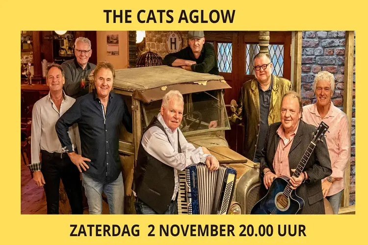 Cats Aglow, a tribute to “THE CATS” in Bonifaciuskerk