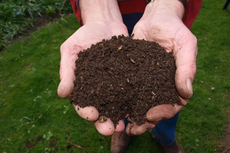 Gratis compost op Landelijke Compostdag 29 maart